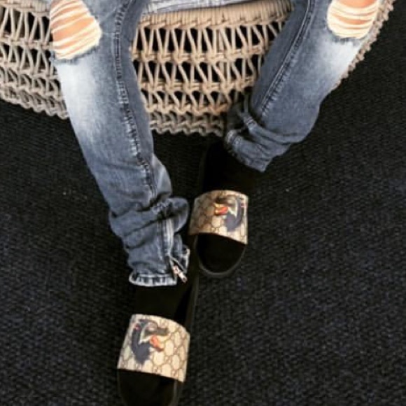 Meet your Posher, Lucy - Picture 1 of 1